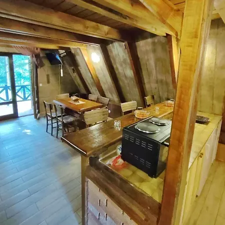 Holiday home Treska 98 Kopaonik