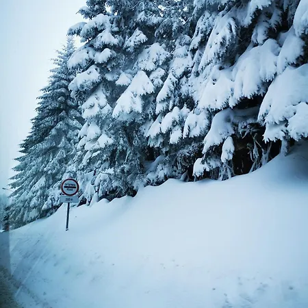Case de vacanță Treska 98 *