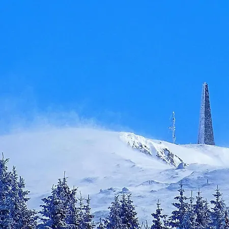 Treska 98 Case de vacanță