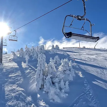 Treska 98 Сasa de vacaciones Kopaonik