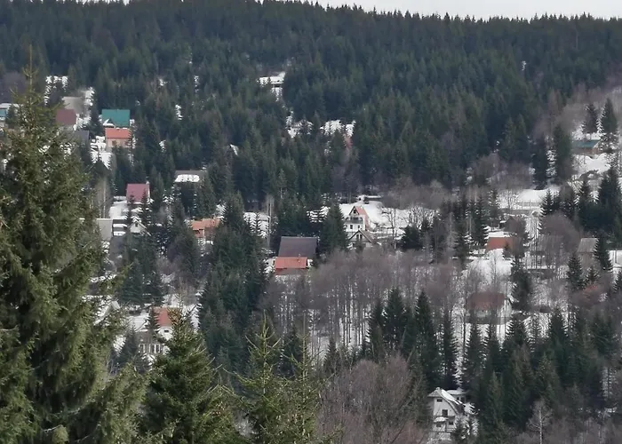 Treska 98 Сasa de vacaciones Kopaonik