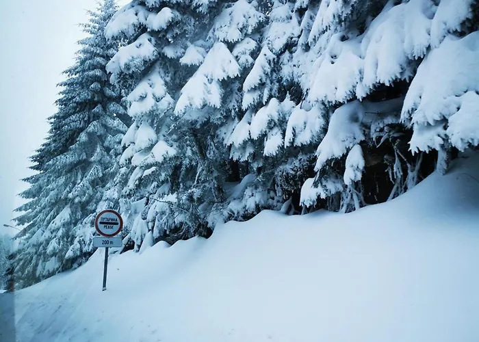 Сasa de vacaciones Treska 98 *