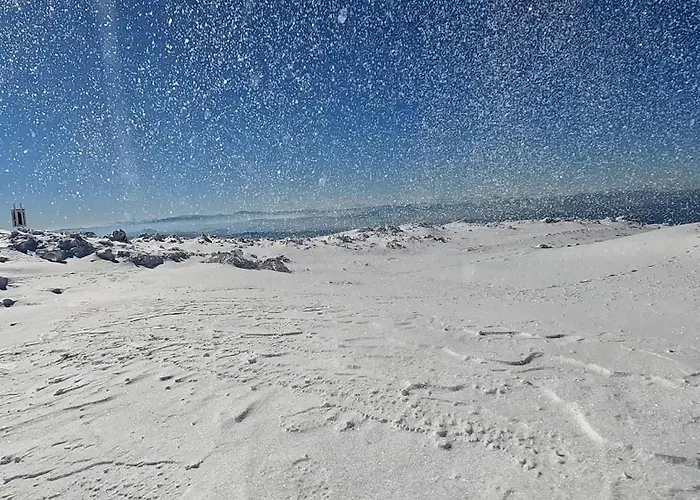 Treska 98 Сasa de vacaciones