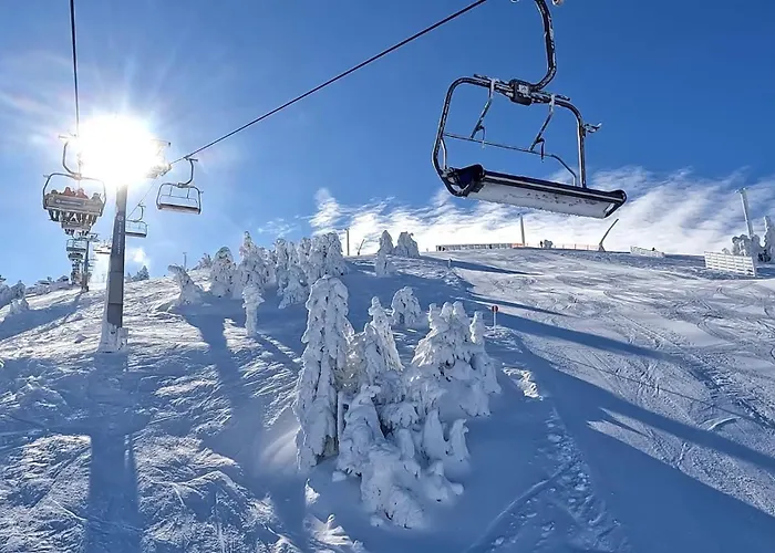 Treska 98 Сasa de vacaciones Kopaonik